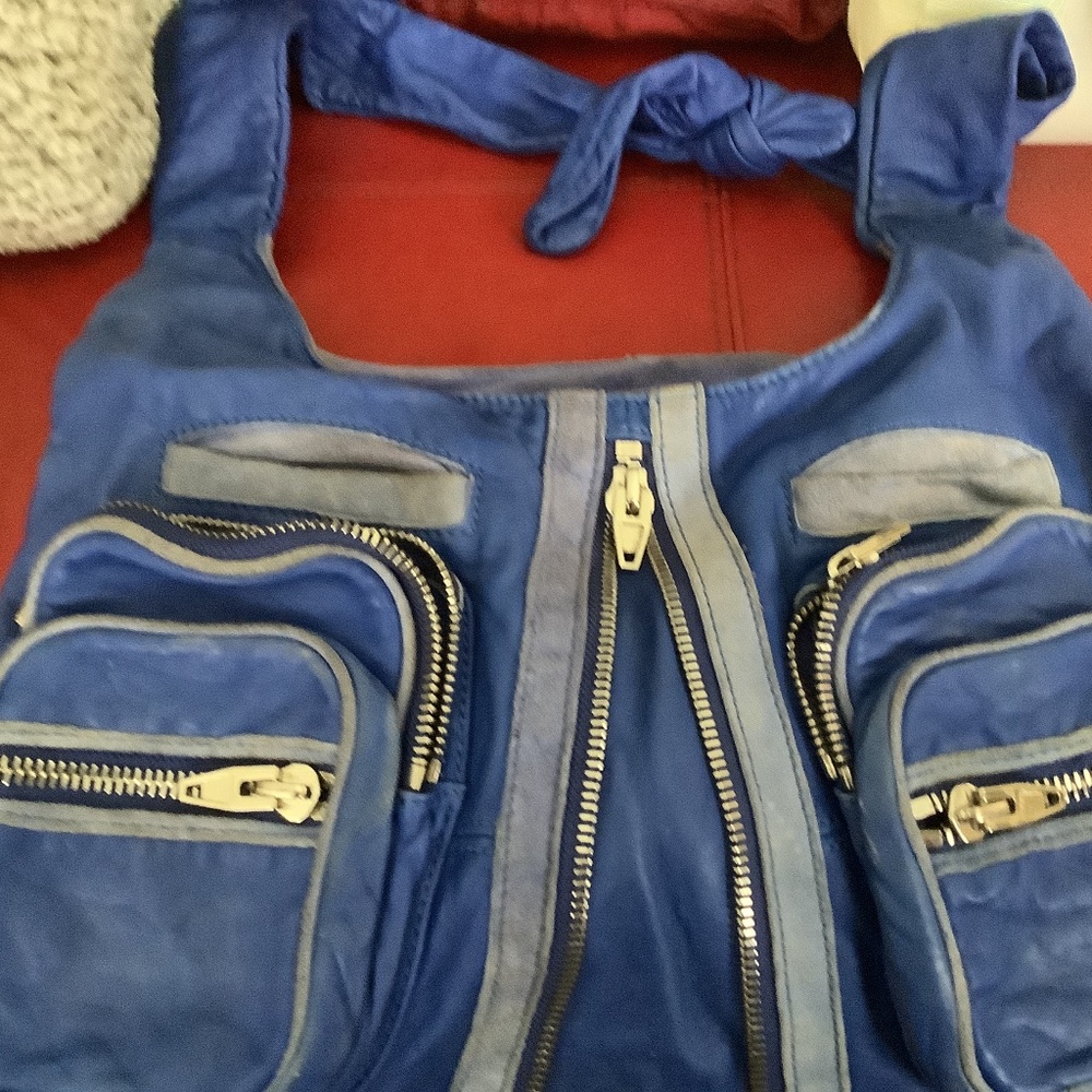 Alexander want handbag